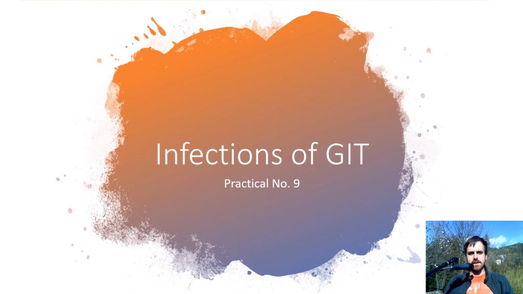 Practical No. 9 - Infections of GIT
