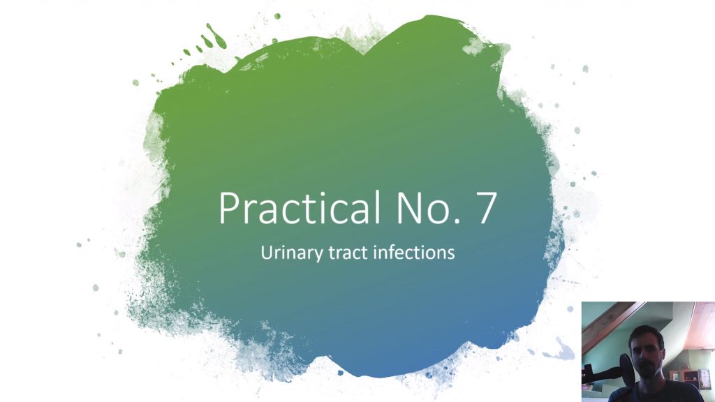 Practical No. 7 - Urinary tract infection